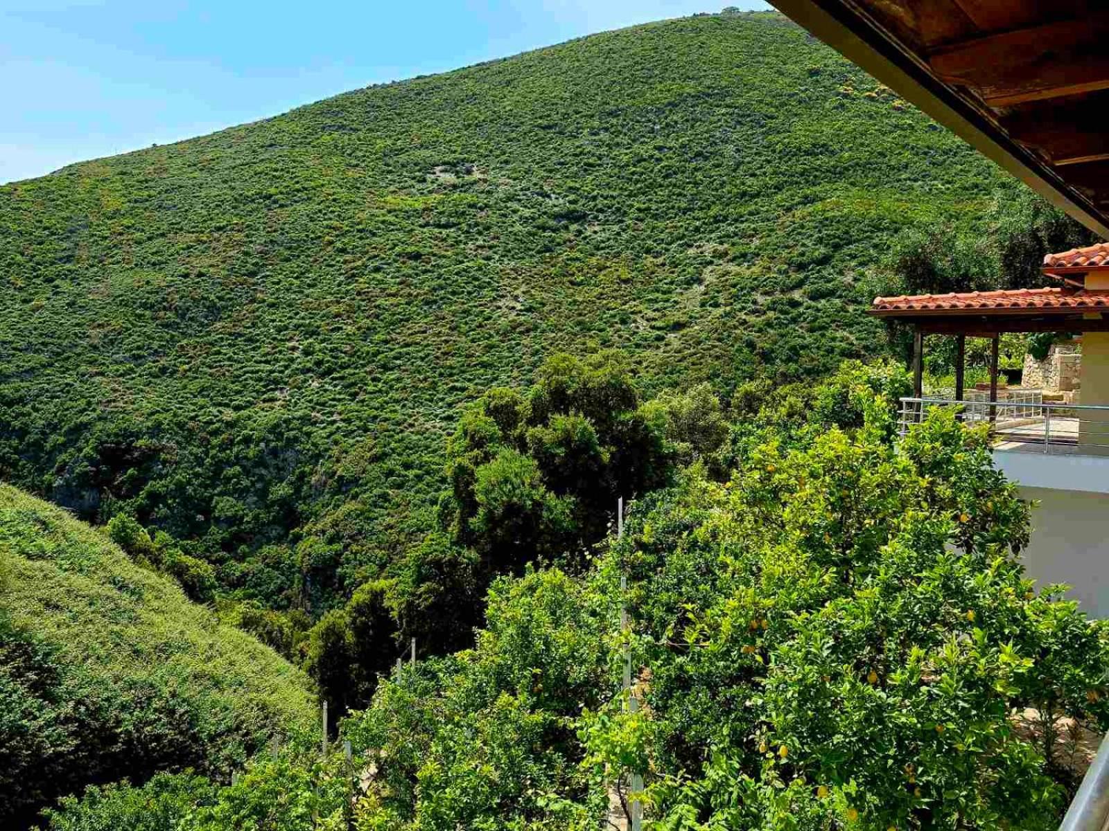 Philoxenia Guest House 히마레 외부 사진